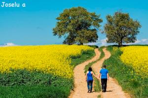 ofertas casa rural Cuenca